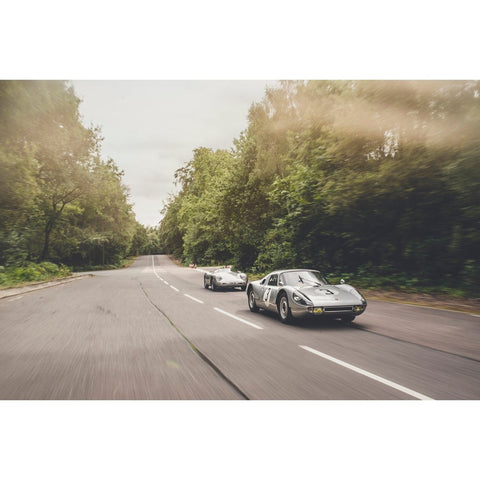 Porsche 904 and 550 Spyder Forest