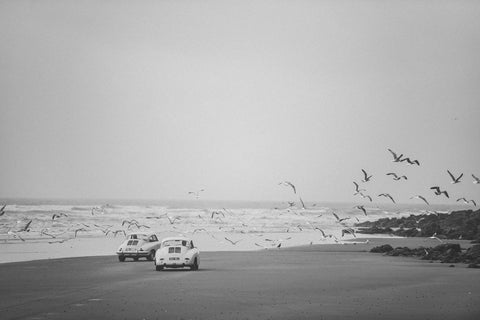Porsche 356 Chasing Seagulls